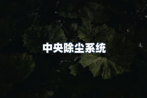 中央除尘系统