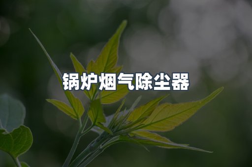 锅炉烟气除尘器