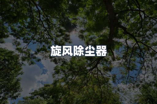 旋风除尘器